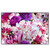 Led Wandbild Bluehende Pfingstrosen Querformat Produktvorschau Frontal