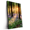 Led Wandbild Bluehender Wald Bei Sonnenaufgang Hochformat Produktvorschau Seitlich
