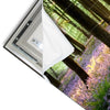 Led Wandbild Bluehender Wald Bei Sonnenaufgang Panorama Materialvorschau