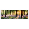 Led Wandbild Bluehender Wald Bei Sonnenaufgang Panorama Produktvorschau Frontal