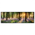Led Wandbild Bluehender Wald Bei Sonnenaufgang Panorama Produktvorschau Frontal