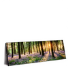 Led Wandbild Bluehender Wald Bei Sonnenaufgang Panorama Produktvorschau Seitlich