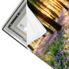 Led Wandbild Bluehender Wald Bei Sonnenaufgang Quadrat Materialvorschau