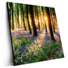 Led Wandbild Bluehender Wald Bei Sonnenaufgang Quadrat Produktvorschau Seitlich