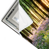 Led Wandbild Bluehender Wald Bei Sonnenaufgang Querformat Materialvorschau