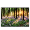 Led Wandbild Bluehender Wald Bei Sonnenaufgang Querformat Produktvorschau Frontal