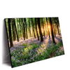 Led Wandbild Bluehender Wald Bei Sonnenaufgang Querformat Produktvorschau Seitlich