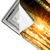 Led Wandbild Bluehender Wald Bei Sonnenaufgang Schmal Materialvorschau