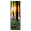 Led Wandbild Bluehender Wald Bei Sonnenaufgang Schmal Produktvorschau Frontal
