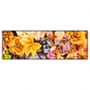 Led Wandbild Bluetenzauber Panorama Produktvorschau Frontal