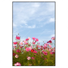 Led Wandbild Blumenwiese Bei Strahlend Blauem Himmel Hochformat Produktvorschau Frontal