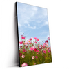Led Wandbild Blumenwiese Bei Strahlend Blauem Himmel Hochformat Produktvorschau Seitlich