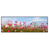 Led Wandbild Blumenwiese Bei Strahlend Blauem Himmel Panorama Produktvorschau Frontal