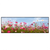 Led Wandbild Blumenwiese Bei Strahlend Blauem Himmel Panorama Produktvorschau Frontal