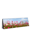 Led Wandbild Blumenwiese Bei Strahlend Blauem Himmel Panorama Produktvorschau Seitlich