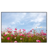 Led Wandbild Blumenwiese Bei Strahlend Blauem Himmel Querformat Produktvorschau Frontal
