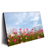 Led Wandbild Blumenwiese Bei Strahlend Blauem Himmel Querformat Produktvorschau Seitlich