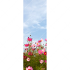 Led Wandbild Blumenwiese Bei Strahlend Blauem Himmel Schmal Motivvorschau