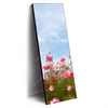 Led Wandbild Blumenwiese Bei Strahlend Blauem Himmel Schmal Produktvorschau Seitlich