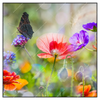 Led Wandbild Blumenwiese Mit Schmetterlingen Quadrat Produktvorschau Frontal