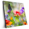 Led Wandbild Blumenwiese Mit Schmetterlingen Quadrat Produktvorschau Seitlich