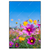 Led Wandbild Blumenwiese Unter Blauem Himmel Hochformat Produktvorschau Frontal