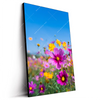 Led Wandbild Blumenwiese Unter Blauem Himmel Hochformat Produktvorschau Seitlich