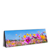 Led Wandbild Blumenwiese Unter Blauem Himmel Panorama Produktvorschau Seitlich