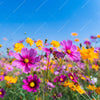 Led Wandbild Blumenwiese Unter Blauem Himmel Quadrat Motivvorschau