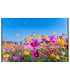 Led Wandbild Blumenwiese Unter Blauem Himmel Querformat Produktvorschau Frontal