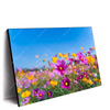 Led Wandbild Blumenwiese Unter Blauem Himmel Querformat Produktvorschau Seitlich