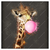 Led Wandbild Bubble Gum Giraffe Quadrat Produktvorschau Frontal