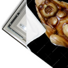 Led Wandbild Buddha No Evil Querformat Materialvorschau