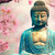 Led Wandbild Buddha Statue Mit Kirschblueten Quadrat Motivvorschau