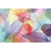 Led Wandbild Bunte Blaetter Querformat Motivvorschau