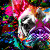 Led Wandbild Bunte Bulldogge Schwarz Querformat Zoom