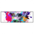 Led Wandbild Bunte Sphynx Weiss Panorama Produktvorschau Frontal