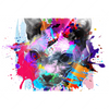 Led Wandbild Bunte Sphynx Weiss Querformat Motivvorschau