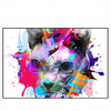 Led Wandbild Bunte Sphynx Weiss Querformat Produktvorschau Frontal