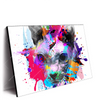 Led Wandbild Bunte Sphynx Weiss Querformat Produktvorschau Seitlich