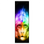 Led Wandbild Bunter Feuer Affe Schmal Produktvorschau Frontal