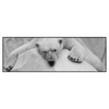 Led Wandbild Der Eisbaer Panorama Produktvorschau Frontal
