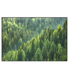 Led Wandbild Der Wald Querformat Produktvorschau Frontal