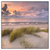 Led Wandbild Duenen Am Nordseestrand Quadrat Produktvorschau Frontal