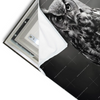 Led Wandbild Duestere Eleganz Der Eule Querformat Materialvorschau
