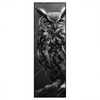 Led Wandbild Duestere Eleganz Der Eule Schmal Produktvorschau Frontal