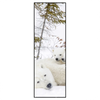 Led Wandbild Eisbaerenfamilie In Winterlicher Landschaft Schmal Produktvorschau Frontal