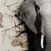 Led Wandbild Elefant Bricht Durch Mauer Querformat Zoom