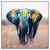 Led Wandbild Elefant Farben Der Wildnis Quadrat Produktvorschau Frontal