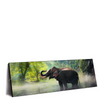 Led Wandbild Elefant Im Wasser Panorama Produktvorschau Seitlich